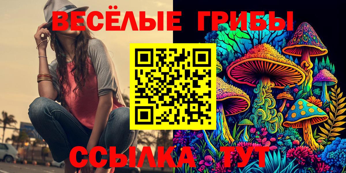 Псилоцибиновые грибы Cubensis Горячий Ключ