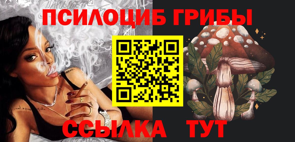 Псилоцибиновые грибы GOLDEN TEACHER  Галлюциногенные грибы Psilocybe  Вход с VPN  Горячий Ключ 